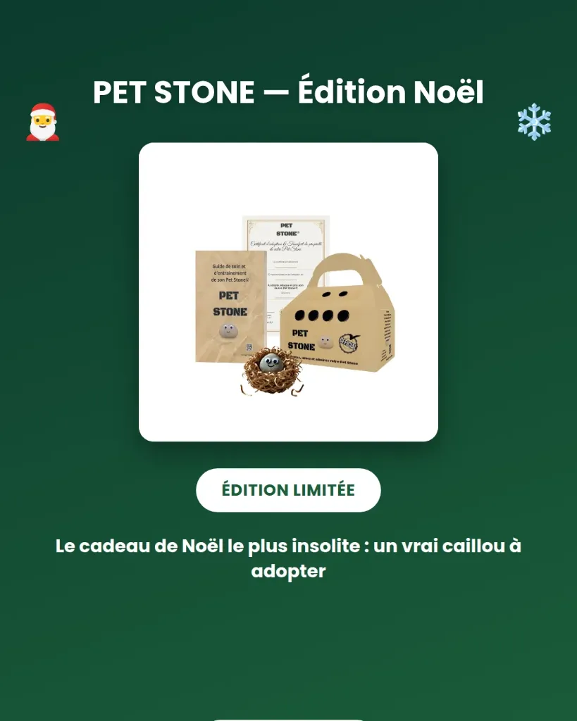 Pet Stone © : Kerstversie